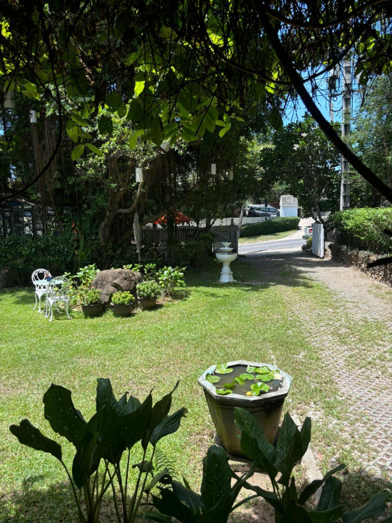 Banyan House Samui Bed And Breakfast (Adults Only) Chaweng-stranden Eksteriør billede